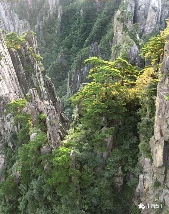 【两会＠你】筑好“大粮仓” 龙江代表委员共话农业农村现代化